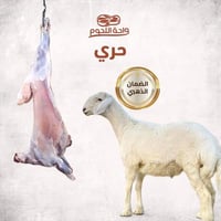 ذبيحة حري صغير كامل الوزن 15-18 كجم شامل الكبدة وا...