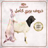 خروف بربري الوزن 15-19 كجم شامل الكبدة والراس