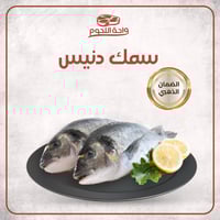 سمك دنيس طازج I الوزن 1 كجم