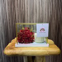 كيكة كانديرا