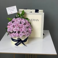 باقه هنوفيرين 6