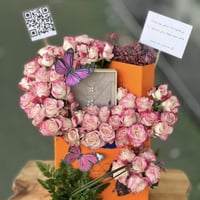 سلسال نسائي OOP