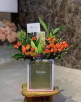 تشوكلت بستاني 2