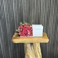 كيكة كانديرا