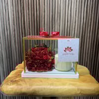 كيكة كانديرا