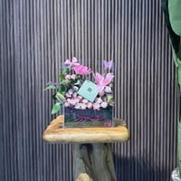 استاند مولود باتشي