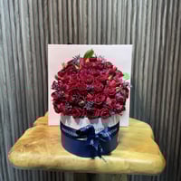 شوكلت هنوفيرين 48