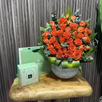 فازه ورد مع تشوكلت باتشي