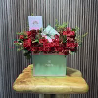 تشوكلت باتشي