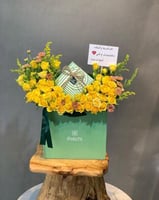 تشوكلت باتشي