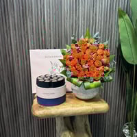 فازه ورد مع تشوكلت