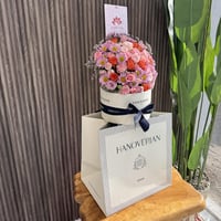 باقه هنوفيرين 2