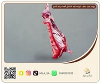 نصف ذبيحه هرفي حري