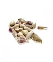 ثوم ذكر يمني