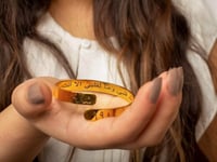 اسوارة نسائي اسم و تاريخ حسب الطلب