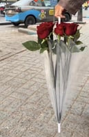 مظلة الورد هدية أمطار الشتاء