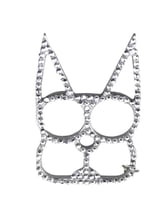 ميدالية القط