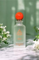 ️ مجموعة مُزن – Mozn Collection