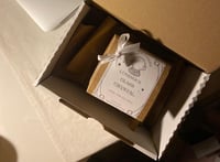 بلورة السفر حول القمر