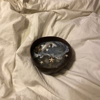 شمعة البحر والسمكة البيضاء | باودر