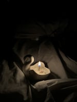 البجعة البيضاء | فانيليا