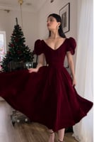 الاحمر الثلجي