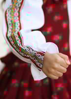 فستان شالكى