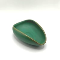 معيار قهوة محارة اخضر غامق