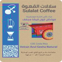 فولكان ازول قيشا مجفف مزاد كأس النخبة