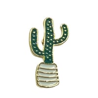 صبار4