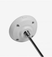 مقياس حرارة تايمور أبيض