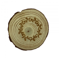 كوستر 18ديسمبر