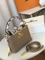 شنطة لويس فيتون كابوسين