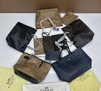 كوتش توت باق