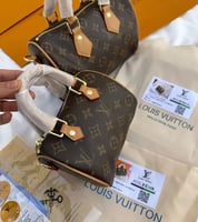 شنطة لويس فيتون سبيدي