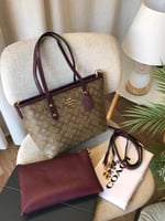 كوتش توت باق