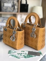 شنطة سهرات ديور