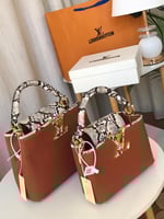 شنطة لويس فيتون كابوسين