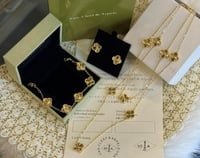 طقم فان كليف مع الملحقات