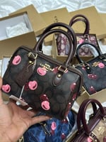 شنطة كوتش روان