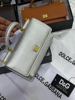 شنطة دولتشي اند غابانا