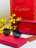 نظارات كارتير