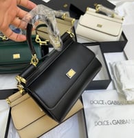 شنطة دولتشي & غابانا