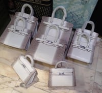 شنطة ارميز بيركن