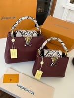 شنطة لويس فيتون كابوسين