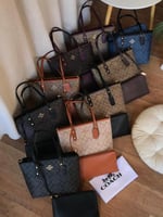 كوتش توت باق