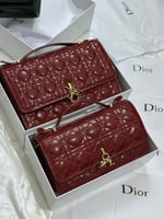 شنطة ديور لامع