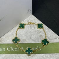 اساور فان كليف (الجديد) مع الملحقات