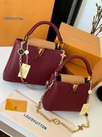 شنطة لويس فيتون كابوسين