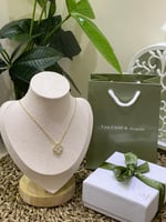 سلسال فان كليف مع الملحقات